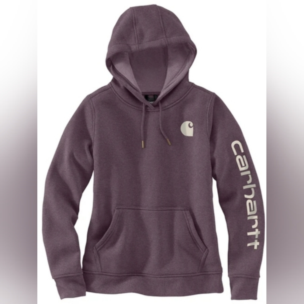 Carhartt Clarksburg Graphic Sleeve Hoodie Sweatshirt Size S Like NewMSRP $59.99 - Picture 1 of 7